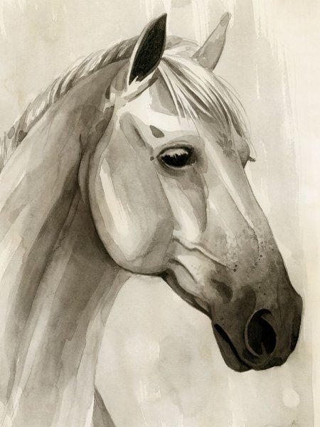 Main Product Photo of Freckled Pony II Painting by Grace Popp