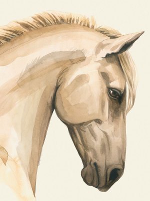 Golden Palomino I by Grace Popp Oil Painting
