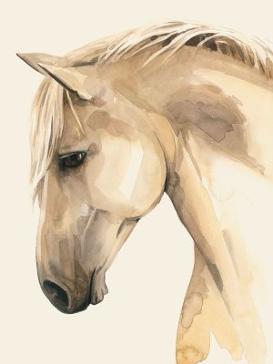 Golden Palomino II by Grace Popp Oil Painting