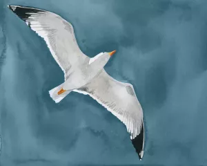 Gull in a Gale I Oil Painting by Grace Popp - Contemporary