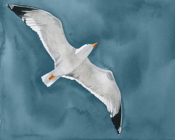 Gull in a Gale I by Grace Popp - Hand-Painted Oil Painting Reproduction