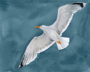 Gull in a Gale II by Grace Popp Oil Painting