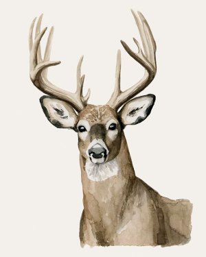 Handsome Whitetail I by Grace Popp Oil Painting