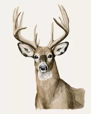 Handsome Whitetail I by Grace Popp Oil Painting