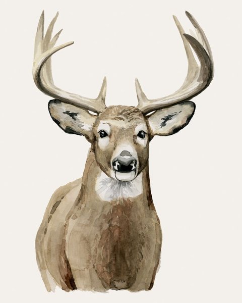 Main Product Photo of Handsome Whitetail II Painting by Grace Popp