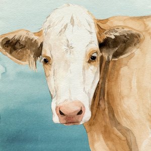 Hereford Stare II by Grace Popp Oil Painting