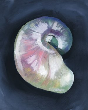 Lost Shell I Oil painting by Grace Popp