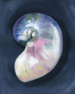 Lost Shell II by Grace Popp Oil Painting