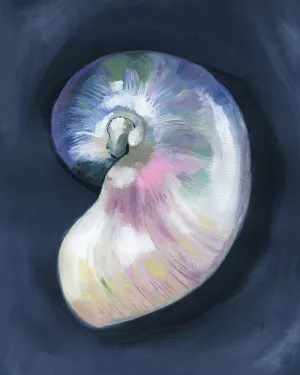 Lost Shell II by Grace Popp Oil Painting