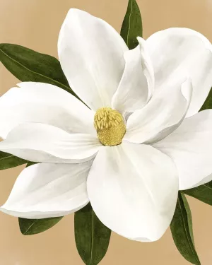Magnolia on Gold I by Grace Popp Oil Painting