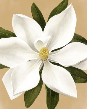 Magnolia on Gold II by Grace Popp Oil Painting