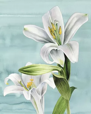 Peaceful Lilies II Oil painting by Grace Popp