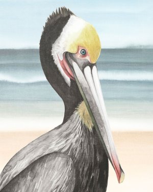 Pelican Beach I by Grace Popp Oil Painting