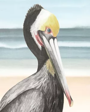 Pelican Beach I by Grace Popp Oil Painting