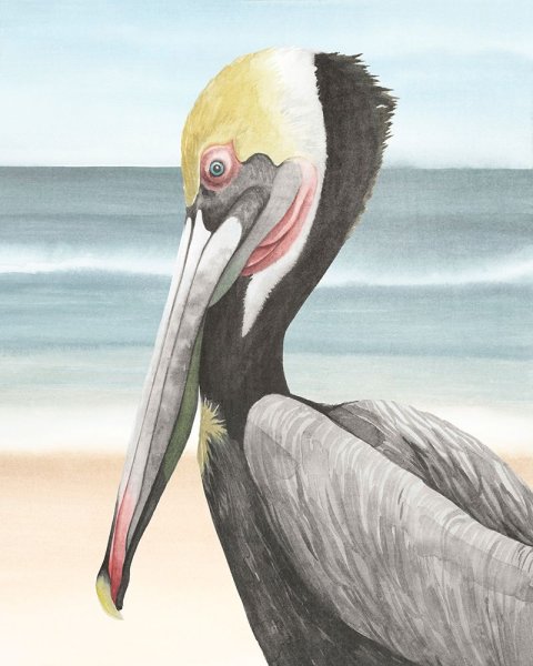 Main Product Photo of Pelican Beach II Painting by Grace Popp