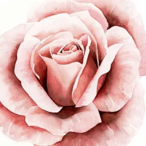 Pink Rose II by Grace Popp Oil Painting