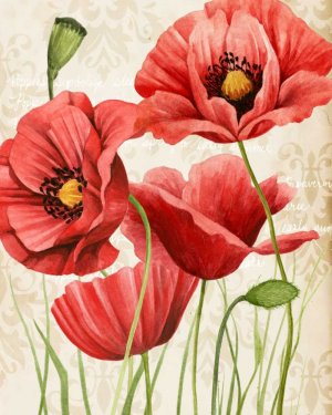 Poised Poppy I by Grace Popp Oil Painting
