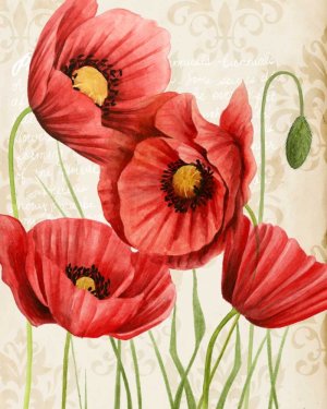 Poised Poppy II by Grace Popp Oil Painting
