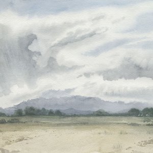 Shadows of a Storm II by Grace Popp Oil Painting