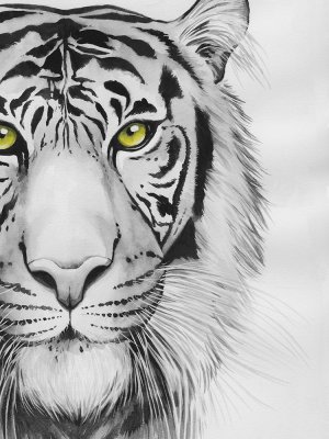 Snow Tigre I by Grace Popp Oil Painting
