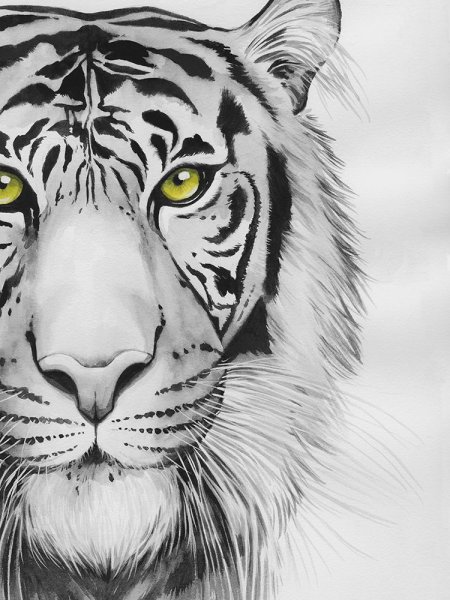 Main Product Photo of Snow Tigre I Painting by Grace Popp