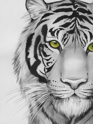 Snow Tigre II by Grace Popp Oil Painting
