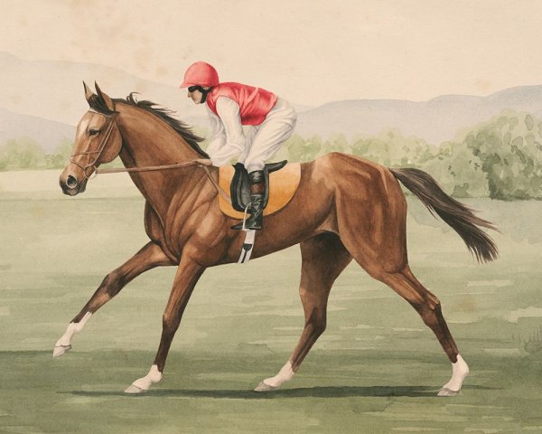 Main Product Photo of Vintage Equestrian I Painting by Grace Popp