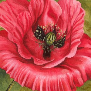 Vivid Poppy I by Grace Popp Oil Painting