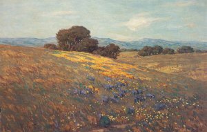 Poppies and Lupines Oil painting by Granville Redmond