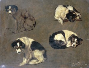 Four Studies of a Dog by Guillaume Anne Van Der Brugghen Oil Painting