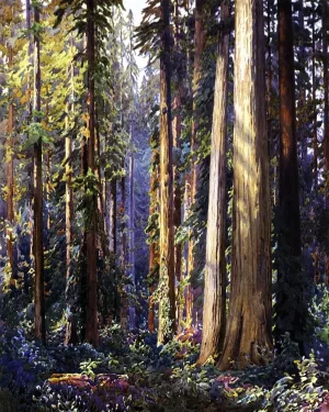 Redwoods Oil Painting by Gunnar Widforss - Bestsellers