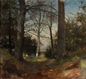 In the Forest. Motif from Stehag, Skane by Gustaf Rydberg Oil Painting