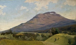Summer Landscape with Mountain by Gustaf Wilhelm Palm Oil Painting