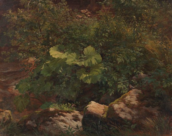 Pflanzenstudie  by Gustav Friedrich Papperitz - Hand-Painted Oil Painting Reproduction