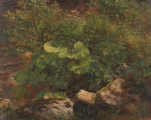 Pflanzenstudie by Gustav Friedrich Papperitz Oil Painting