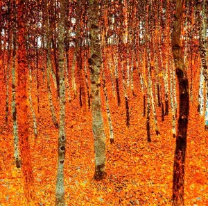 Beech Forest Oil painting by Gustav Klimt