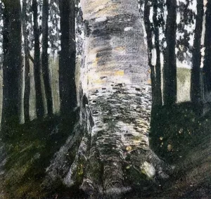 Birch in a Forest by Gustav Klimt Oil Painting