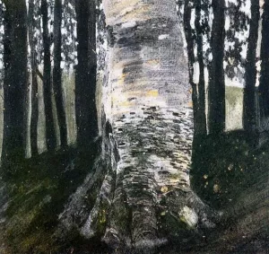 Birch in a Forest Oil painting by Gustav Klimt