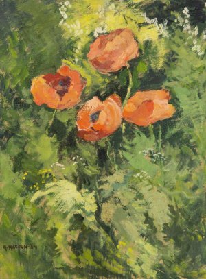 Wild Poppies by Gustav Macoun Oil Painting