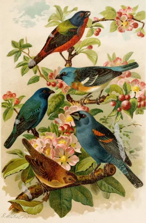 Die Nordamerikanische Vogelwelt pl28 by Gustav Mutzel Oil Painting