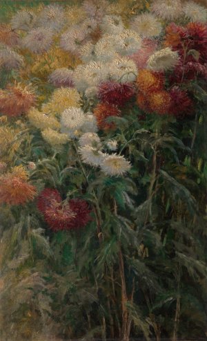 Chrysanthemums in the Garden at Petit-Gennevilliers by Gustave Caillebotte Oil Painting