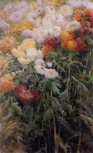 Clump of Chrysanthemums, Garden at Petit Gennevilliers painting by Gustave Caillebotte