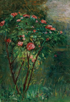 Le rosier fleuri by Gustave Caillebotte Oil Painting