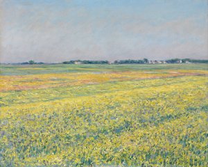 The plain of Gennevilliers, yellow fields by Gustave Caillebotte Oil Painting