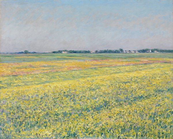 Main Product Photo of The plain of Gennevilliers, yellow fields Painting by Gustave Caillebotte