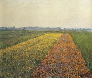 The Yellow Fields at Gennevilliers by Gustave Caillebotte - Oil Painting Reproduction