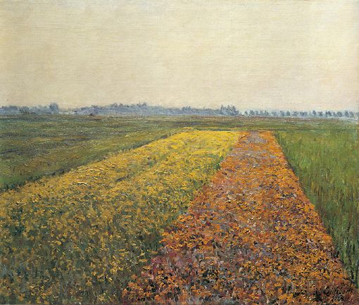 Main Product Photo of The Yellow Fields at Gennevilliers Painting by Gustave Caillebotte
