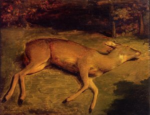 Dead Deer