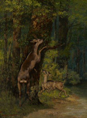 Deer in the Forest by Gustave Courbet Oil Painting