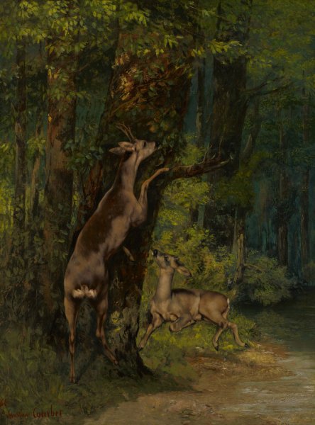Deer in the Forest  by Gustave Courbet - Hand-Painted Oil Painting Reproduction